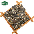 Black sunflower seeds 363/361 Chinese supplier